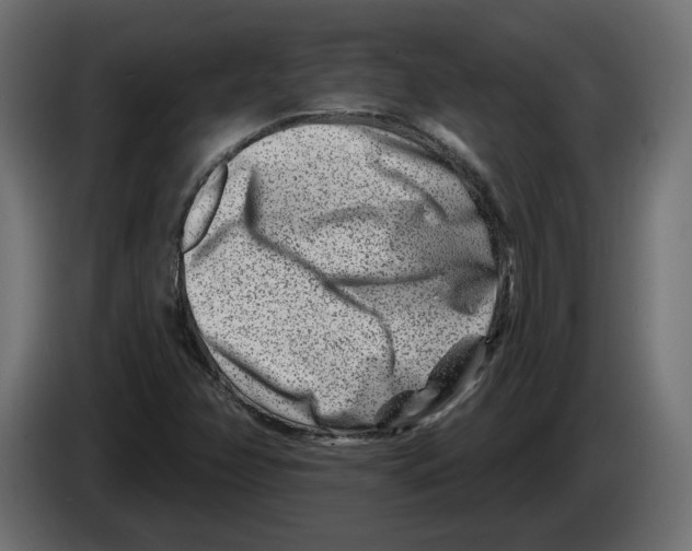 X0000082931358200703020056