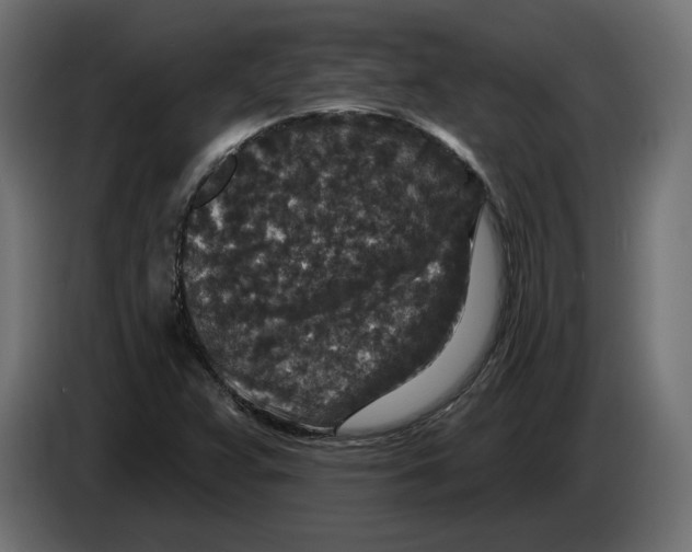 X0000082931359200703020056