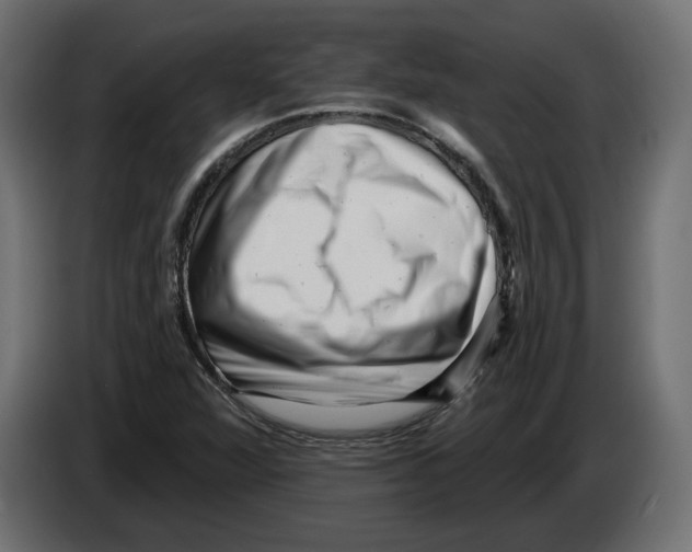 X0000082931360200703020056