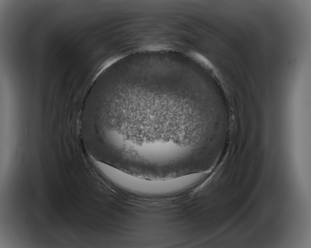 X0000082931361200703020056