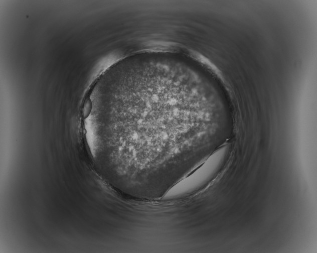 X0000082931362200703020056