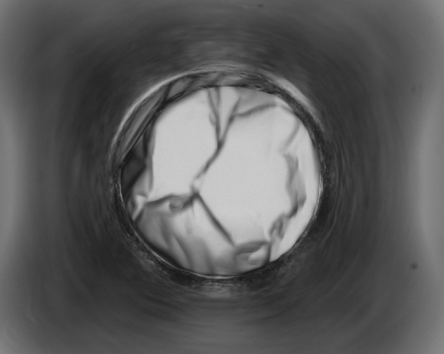 X0000082931364200703020056