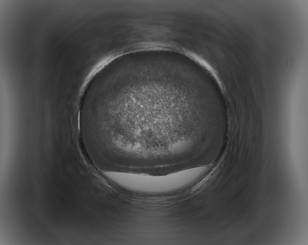 X0000082931365200703020056