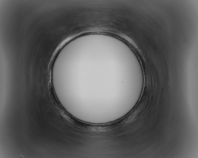 X0000082931366200703020056