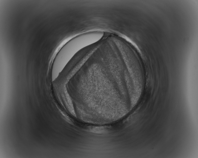 X0000082931367200703020056