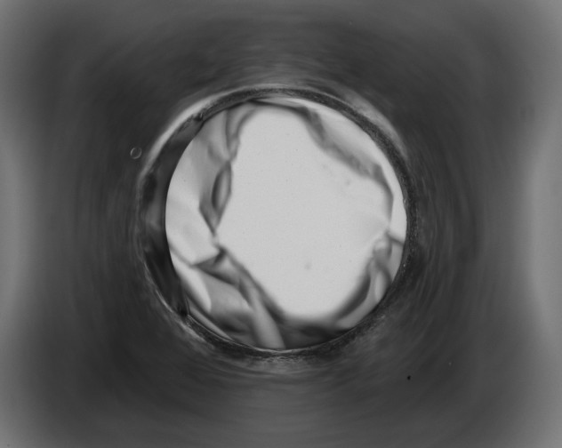 X0000082931368200703020056