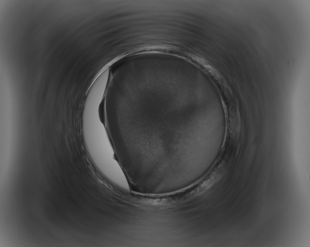 X0000082931369200703020056
