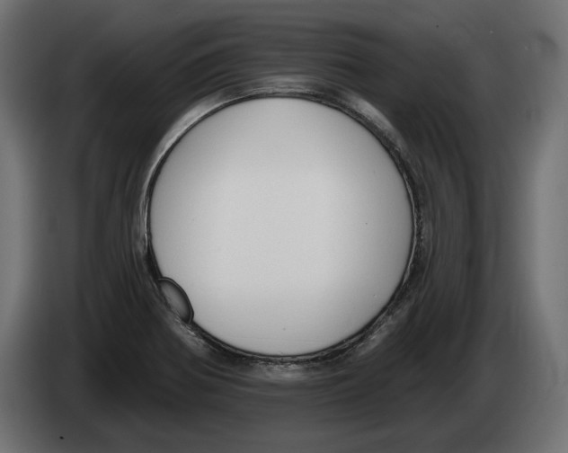 X0000082931370200703020056