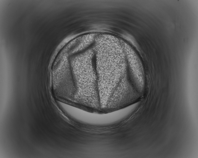 X0000082931371200703020056