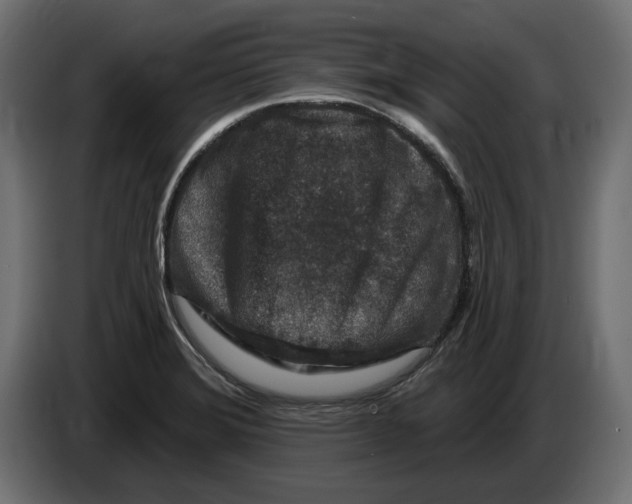 X0000082931372200703020056