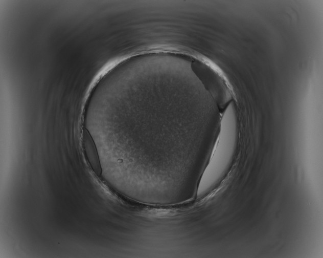 X0000082931373200703020056