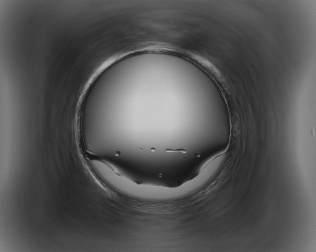 X0000082931375200703020056