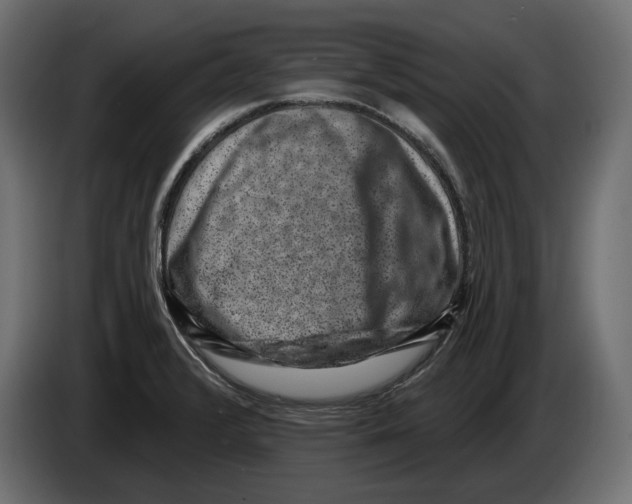 X0000082931376200703020056