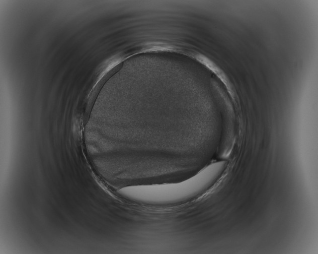 X0000082931377200703020056