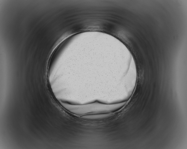 X0000082931378200703020056