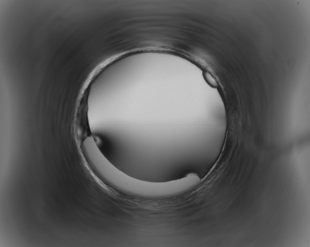 X0000082931379200703020056