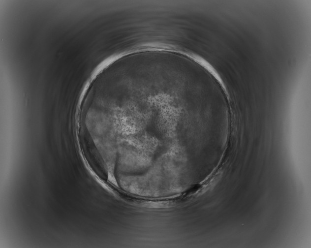 X0000082931381200703020056