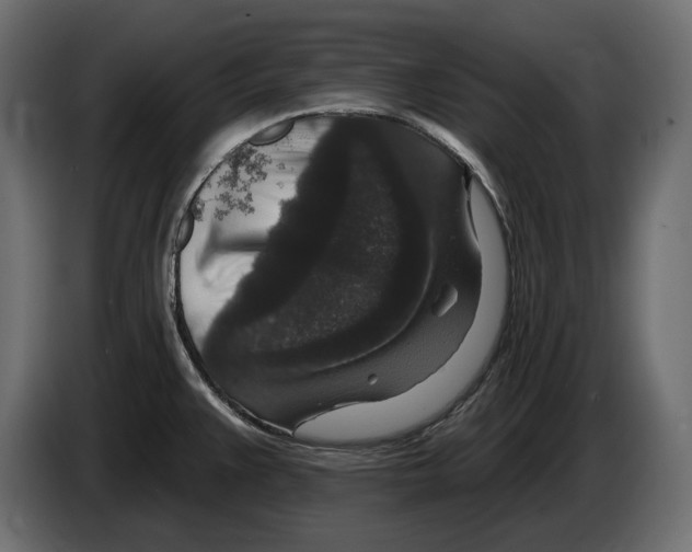 X0000082931383200703020056