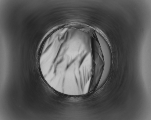 X0000082931384200703020056