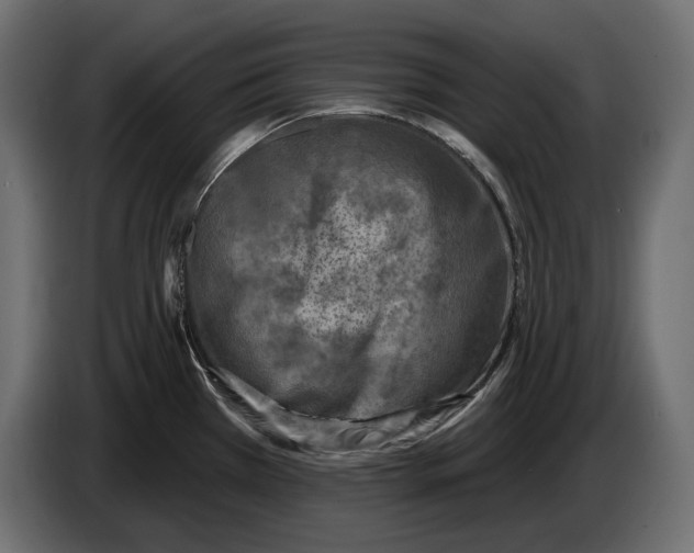 X0000082931385200703020056