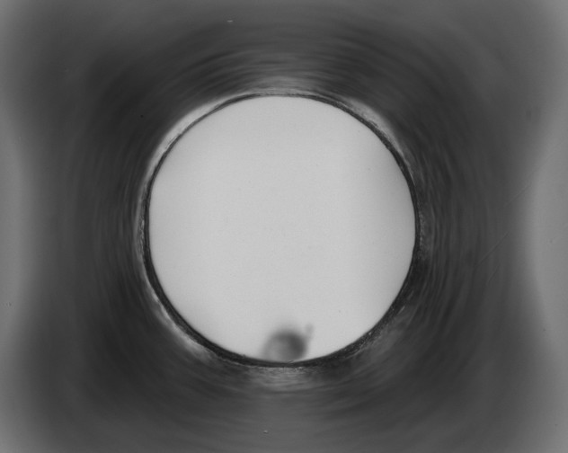 X0000082931387200703020056
