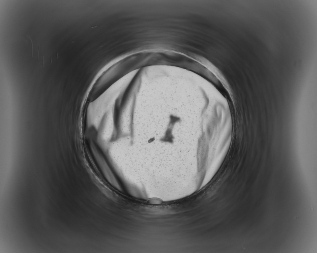 X0000082931388200703020056