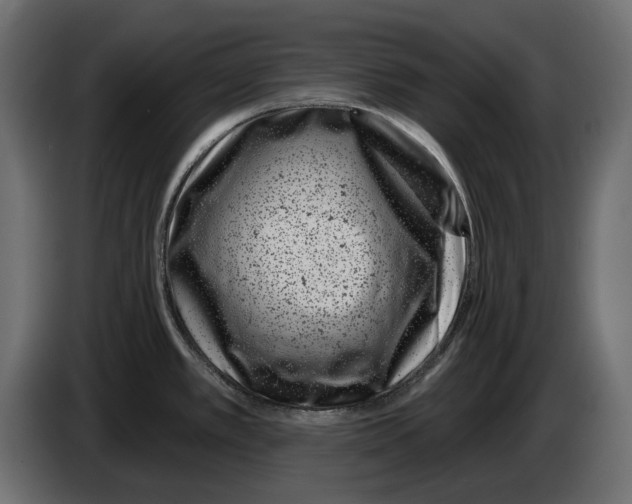 X0000082931389200703020056