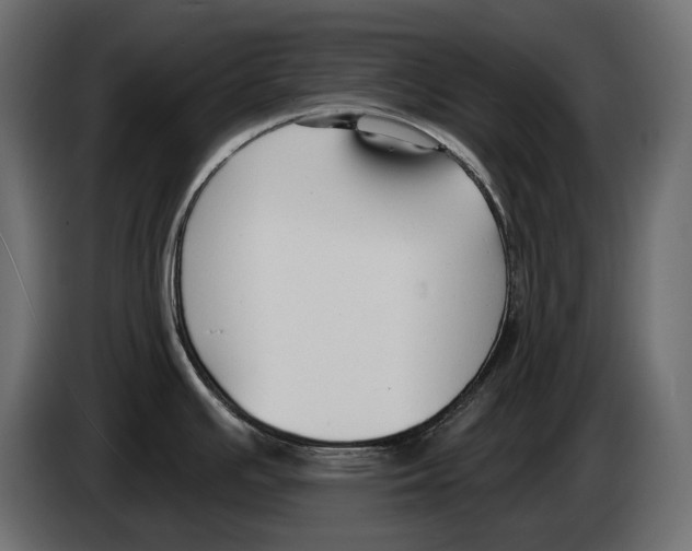 X0000082931391200703020056