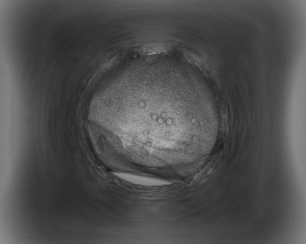 X0000082931393200703020055