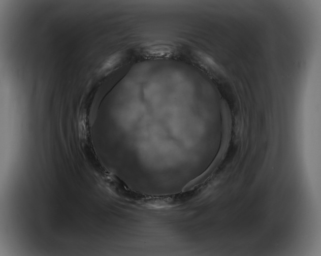 X0000082931394200703020055