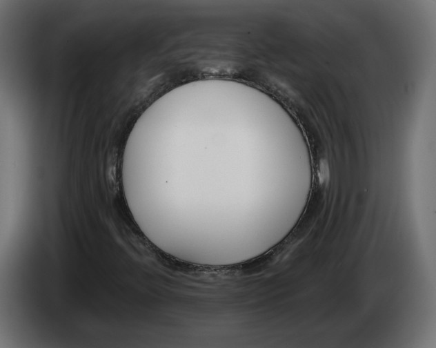 X0000082931396200703020055