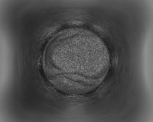 X0000082931397200703020055