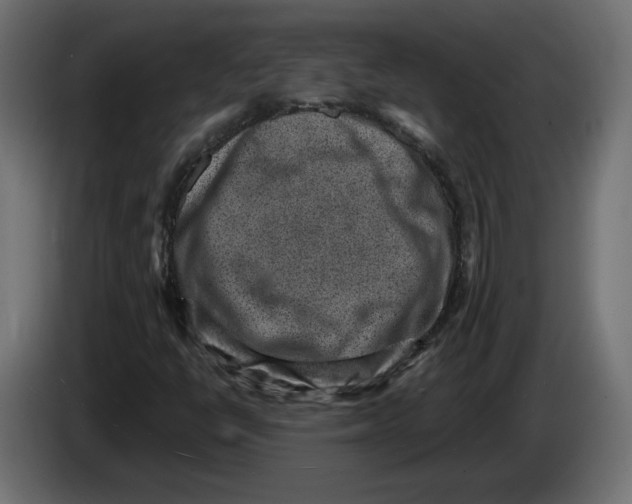X0000082931398200703020055