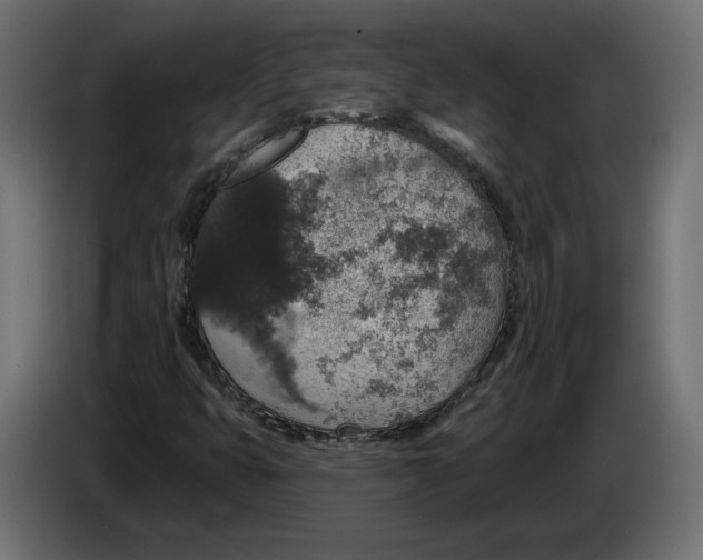 X0000082931399200703020055