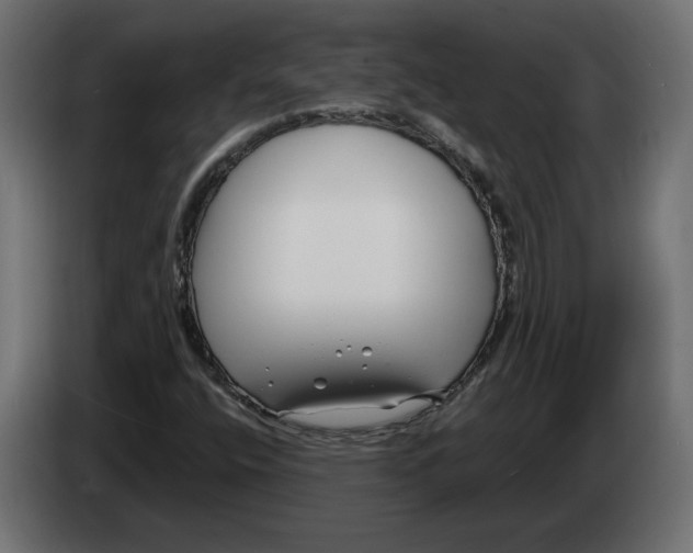 X0000082931400200703020055