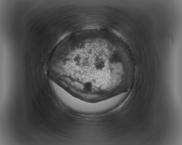 X0000082931401200703020055