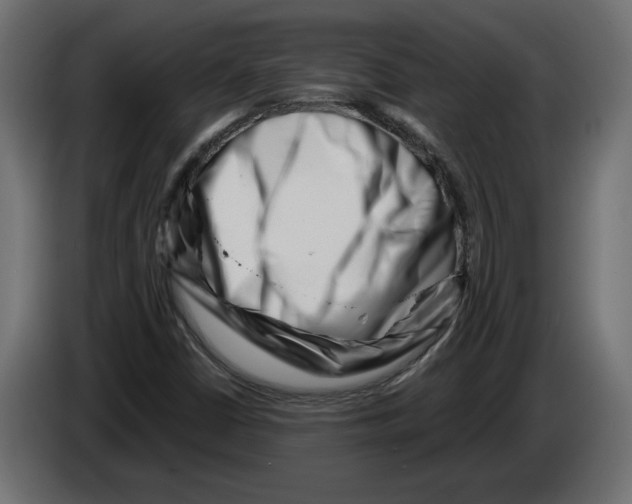 X0000082931402200703020055