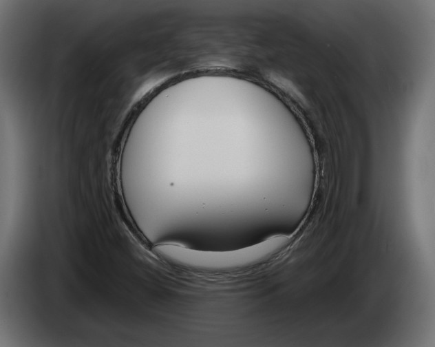 X0000082931404200703020055