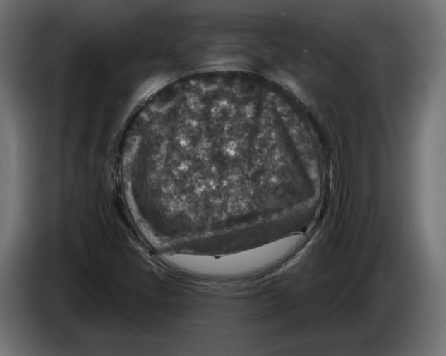 X0000082931405200703020055