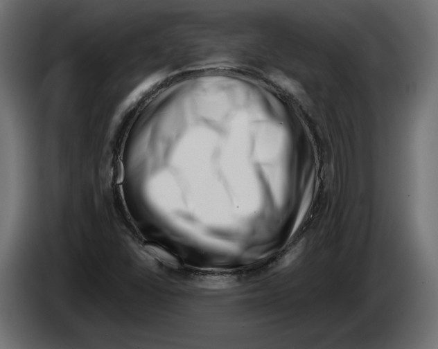 X0000082931406200703020055