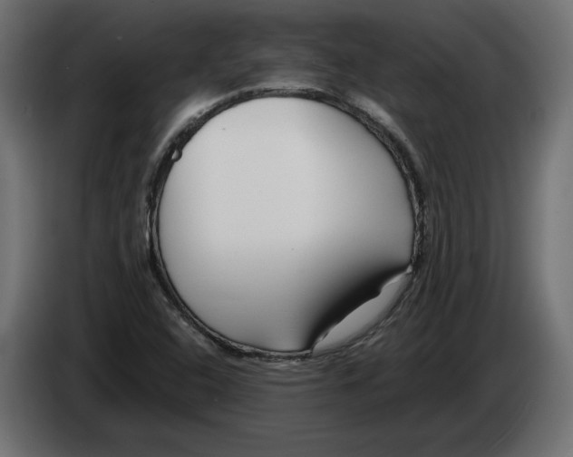 X0000082931408200703020055