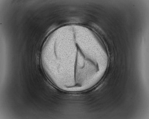 X0000082931409200703020055