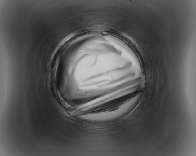 X0000082931410200703020055