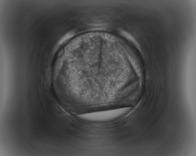 X0000082931411200703020055