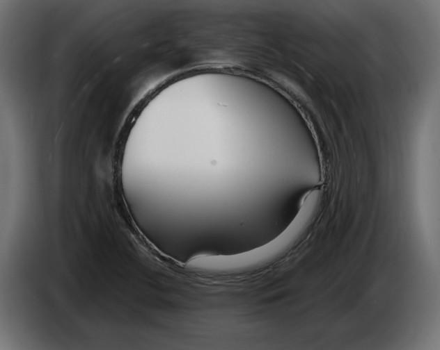 X0000082931412200703020055