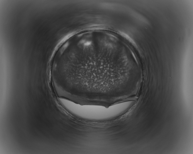 X0000082931413200703020055