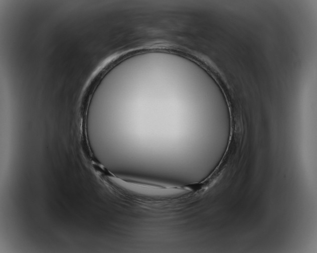 X0000082931414200703020055