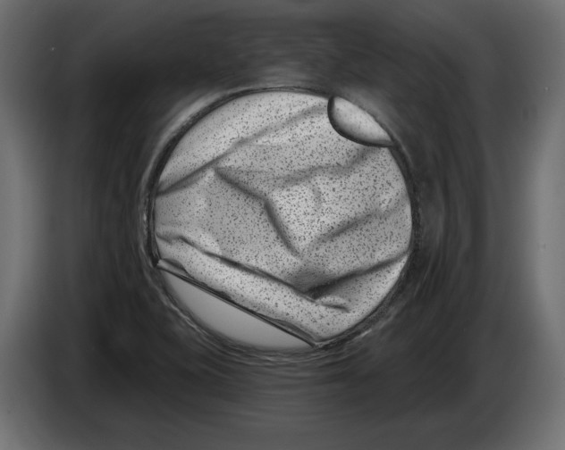X0000082931415200703020055