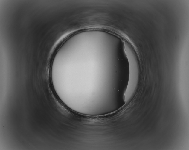 X0000082931416200703020055