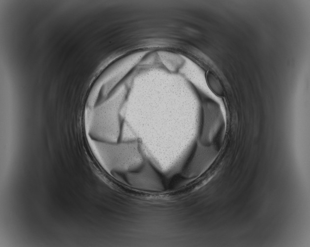 X0000082931417200703020055